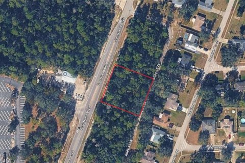 Land in Deltona, Florida № 2394141 - photo 4