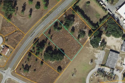Land in Ocala, Florida № 844588 - photo 1