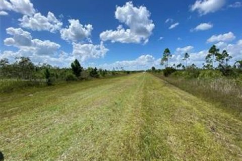 Land in Indian lake estates, Florida № 2164813