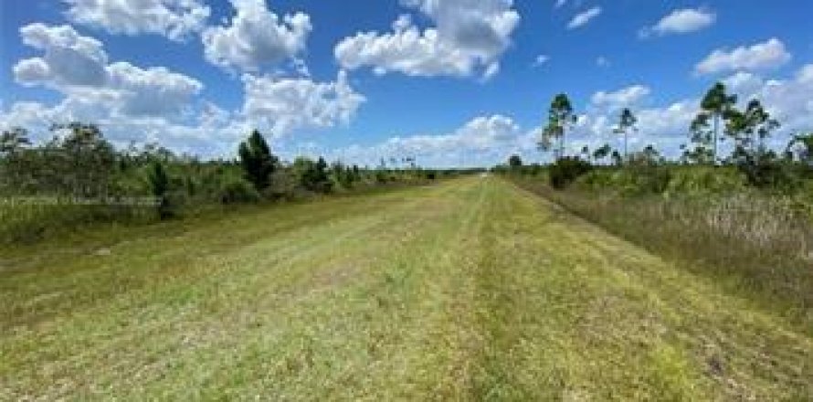 Terrain à Indian lake estates, Floride № 2164813