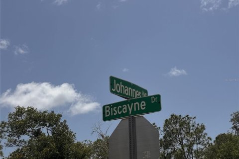 Land in Port Charlotte, Florida № 2163530 - photo 2