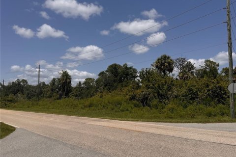 Land in Port Charlotte, Florida № 2163530 - photo 7
