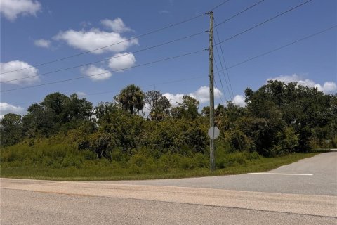 Land in Port Charlotte, Florida № 2163530 - photo 5