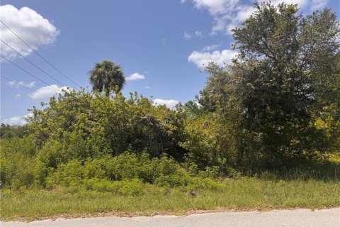 Land in Port Charlotte, Florida № 2163530 - photo 11
