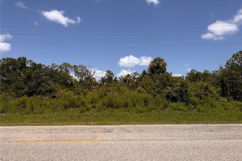 Land in Port Charlotte, Florida № 2163530 - photo 3