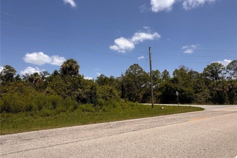 Land in Port Charlotte, Florida № 2163530 - photo 6