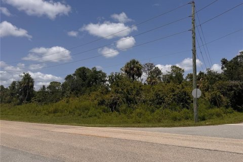 Land in Port Charlotte, Florida № 2163530 - photo 8