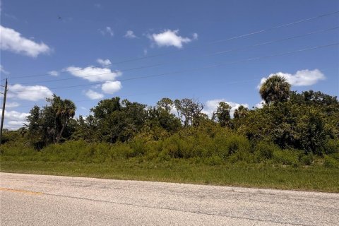 Land in Port Charlotte, Florida № 2163530 - photo 9