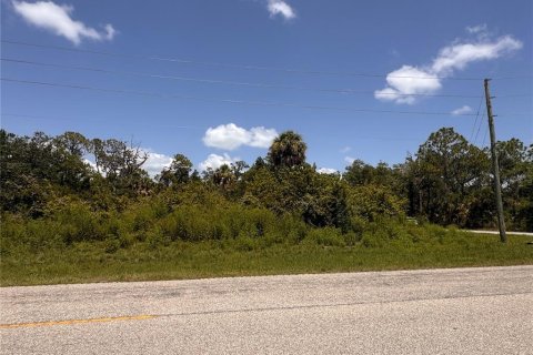 Land in Port Charlotte, Florida № 2163530 - photo 4