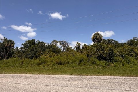 Land in Port Charlotte, Florida № 2163530 - photo 10