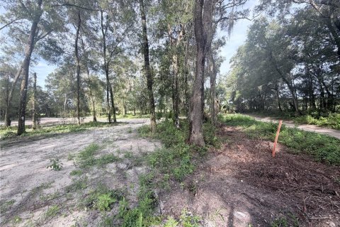 Terrain à Dunnellon, Floride № 2354599