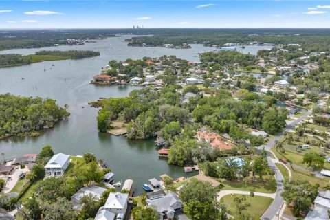 House in Crystal River, Florida 3 bedrooms, 182.46 sq.m. № 2226219 - photo 30