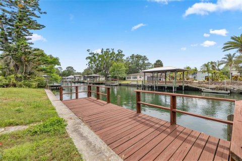 House in Crystal River, Florida 3 bedrooms, 182.46 sq.m. № 2226219 - photo 27