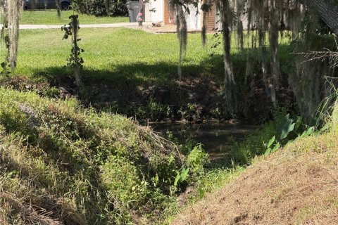 Terrain à vendre à Lakeland, Floride № 2212282 - photo 4