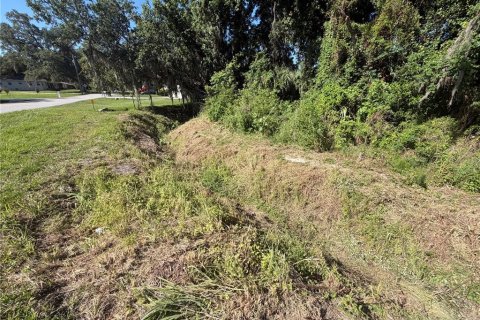 Terrain à vendre à Lakeland, Floride № 2212282 - photo 6
