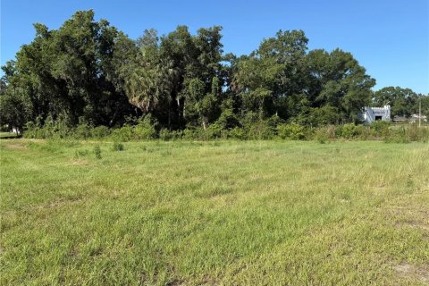 Land in Lakeland, Florida № 2212282