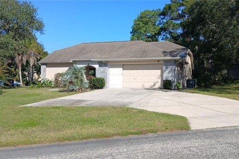 Villa ou maison à vendre à Homosassa, Floride: 3 chambres, 170.2 m2 № 2398833 - photo 2
