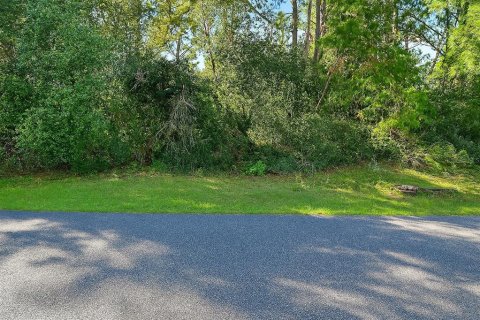 Land in Ocala, Florida № 1874042 - photo 1