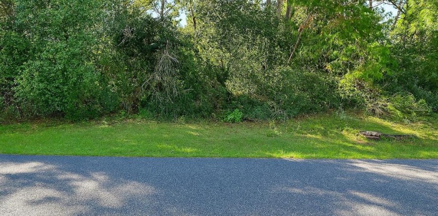 Land in Ocala, Florida № 1874042
