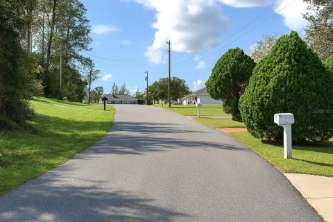 Land in Ocala, Florida № 1874042 - photo 4