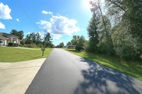 Land in Ocala, Florida № 1874042 - photo 3