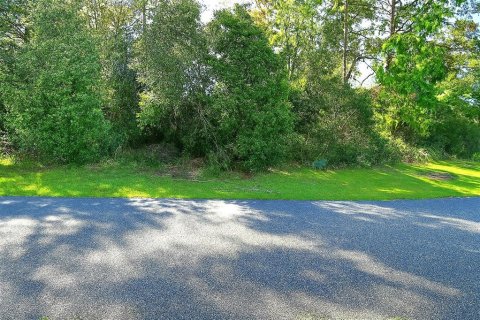 Land in Ocala, Florida № 1874042 - photo 6