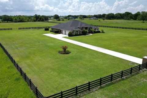House in Tavares, Florida 4 bedrooms, 327.11 sq.m. № 1800212 - photo 1
