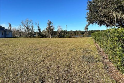Land in Polk City, Florida № 1553928 - photo 2
