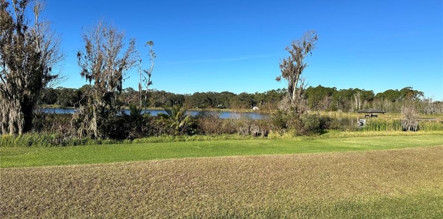 Land in Polk City, Florida № 1553928