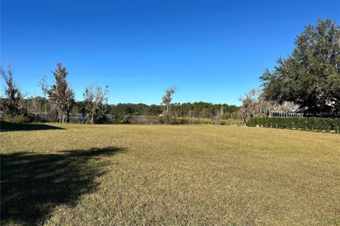Land in Polk City, Florida № 1553928 - photo 4