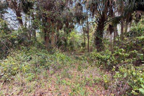 Terrain à vendre à Astor, Floride № 2230828 - photo 4