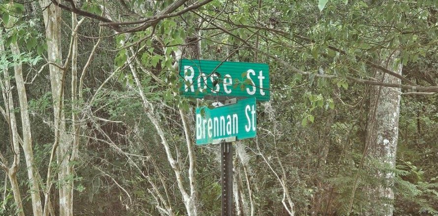 Land in Brooksville, Florida № 1773716