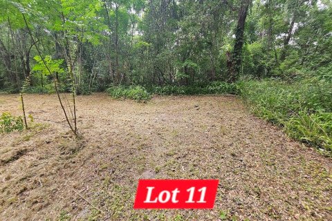 Land in Brooksville, Florida № 1773716 - photo 11