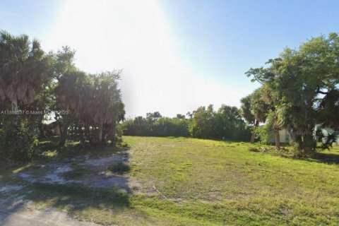 Land in Englewood, Florida № 1979336 - photo 3