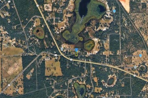 Купить земельный участок в Мелроз, Флорида № 2161753 - фото 2