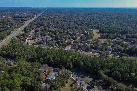 Terrain à vendre à Gainesville, Floride № 2206004 - photo 4