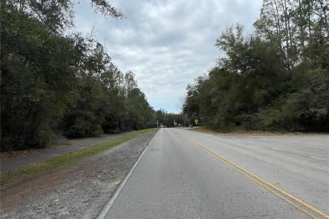 Terrain à vendre à Gainesville, Floride № 2206004 - photo 21