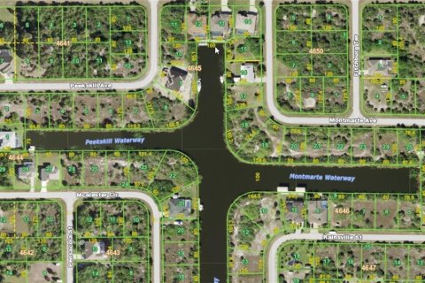 Land in Port Charlotte, Florida № 213689 - photo 3