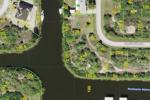 Land in Port Charlotte, Florida № 213689 - photo 2