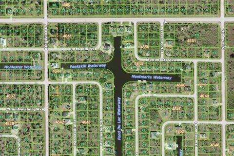 Land in Port Charlotte, Florida № 213689 - photo 4