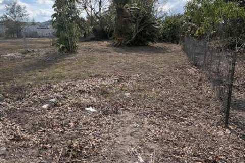 Land in Sebring, Florida № 2228848