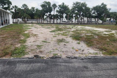 Land in Bradenton, Florida № 2227924
