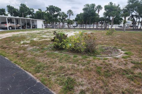 Land in Bradenton, Florida № 2227924 - photo 2