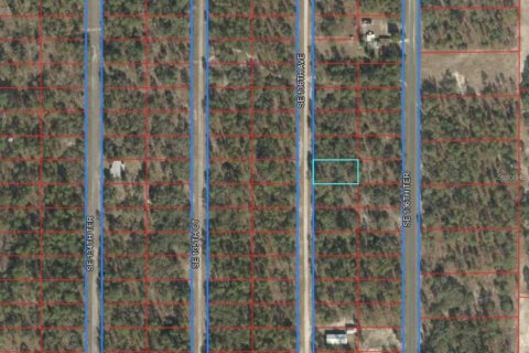 Terrain à vendre à Dunnellon, Floride № 2205338 - photo 2