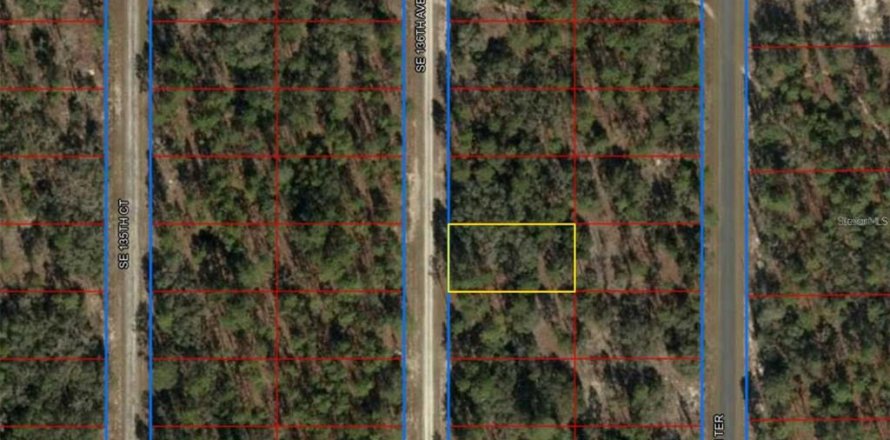 Terrain à Dunnellon, Floride № 2205338