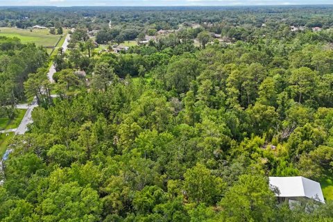 Land in Christmas, Florida № 1740620 - photo 12