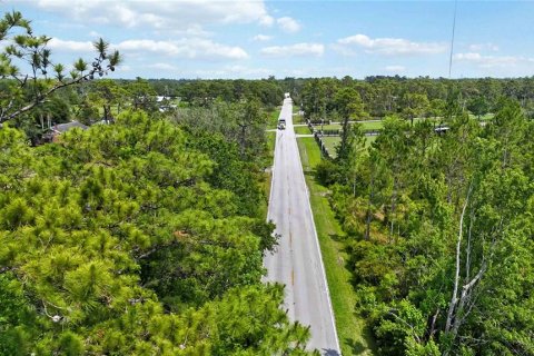 Land in Christmas, Florida № 1740620 - photo 14