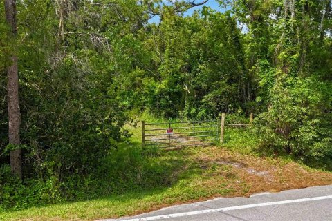 Land in Christmas, Florida № 1740620 - photo 15