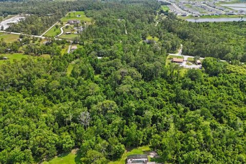 Land in Christmas, Florida № 1740620 - photo 8