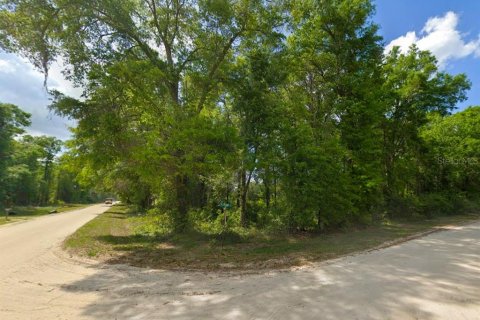 Land in Fort White, Florida № 1817391 - photo 2